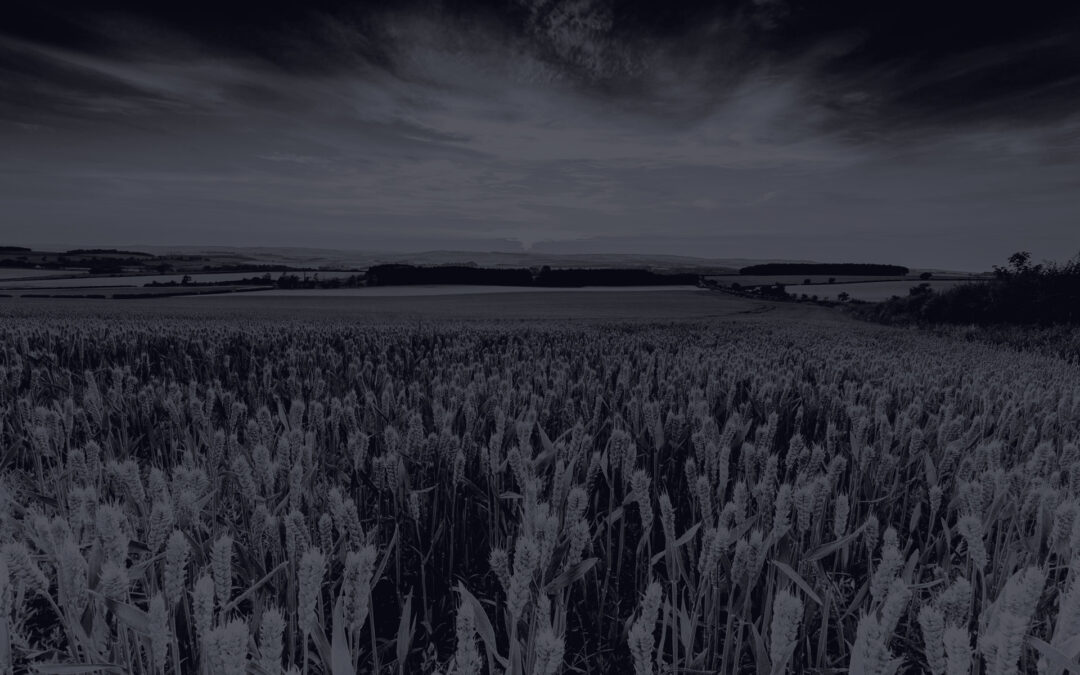 Certificados de Recebíveis do Agronegócio – CRAs